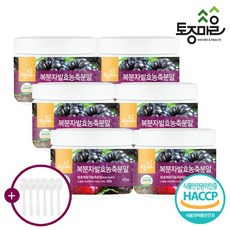 고창 복분자발효농축분말, 6개, 60g