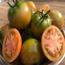 고당도 대저토마토 짭짤이 토마토 S-2S 부산직송, 1박스, 2.5kg