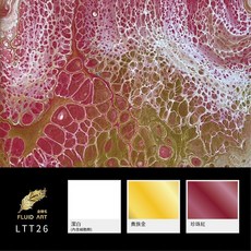 金羽毛 文藝包 流體畫 體驗包 壓克力顏料 手作 DIY 交換禮物 生日禮物, LTT26, 1套