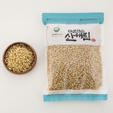 [자연담은 산해림] 고소한 프리미엄 잣 (중국산), 100g, 1개