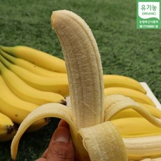 산청 국산바나나 유기농 바나나 1박스 1.5kg 2.5kg (화요일 순차발송)