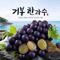 [재구매1위] 고당도 국내산 초특가 씨없는 거봉 특품, 1박스, 실속 1수