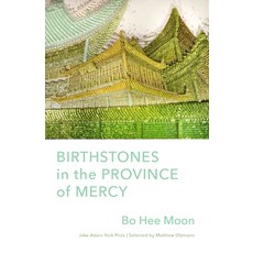 (영문도서)Birthstones in the Province of Mercy: Poems Paperback, Milkweed Editions, English, 9781571315731