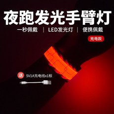 台灣出貨 WRELS騎行跑步手臂燈綁褲腳充電代駕警示燈反光戶外運動夜跑安全 夜跑反光腳環 夜騎反光手環 戶外運動, 充電款-紅色, 1個