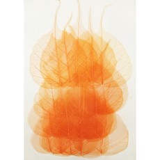 압화재료 압화 잎맥 오랜지 하트 20p 장식 공예 솔체압화