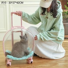 고양이투명캐리어 이동장 강아지 산책 이동 켄넬 가방 바퀴, A. 최대 16마리 고양이 및 10마리 개, H. 라운드 핑크 투명 쿠션