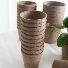 지피 C 원형포트 브라운 6 x 6 cm 22p, 1개