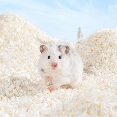 倉鼠奶油小方墊料 黃金鼠墊料 倉鼠墊料 可食用除臭無粉塵墊料 倉鼠造景用品, 1個, 奶油小方400G（1包）