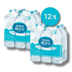 농심 백산수 유/무라벨 랜덤, 12개, 2L