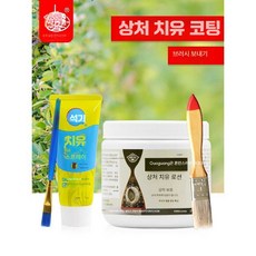 핏앤케이 톱신페스트 치료제 나무도포제, 1개, 캔당 500g+브러시
