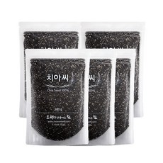 치아씨드 슈퍼푸드 식사대용 간편식, 5개, 300g