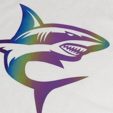 조이컷 레인보우리플렉트 무지개빛 열전사필름 의류 티셔츠 스티커 낱장판매 25CMx30CM / 미터판매 50CMx100CM, 1개, RRF-01 낱장