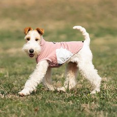 애견티셔츠 강아지옷 아웃도어, 1개, 핑크