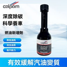 FBZS燃油添加劑：燃油寶、油路清洗劑、汽車除積碳劑、節油寶、汽油添加劑，清潔油路，提升動力, 1個, 燃油添加劑100ml