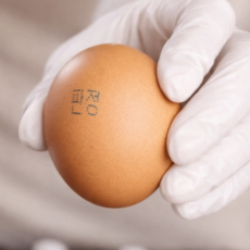 [억수로상회] 무항생제 1+등급 계란(특란), 1개, 20구