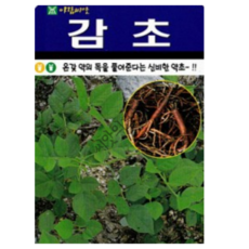 AR 감초 씨앗 귀한 약초 씨앗, 1개