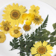 압화꽃 꽃송이 드라이 플라워 조화 DIY 책갈피 만들기, 오렌지