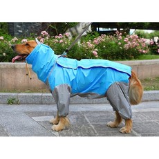 빅포레스트 소형견 대형견 비옷 강아지 우비, 블루, 1개