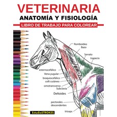 수의학과 해부학과 생리학을 컬러링하기 위한 작업장: 자기 평가 연구 가이드 준비... 수의사와 간호사 스페인어 에디션, 기본