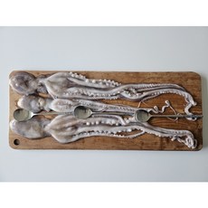 하남 급냉 자이언트 낙지, 1개, 1kg