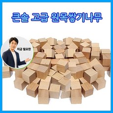 지금 필요한 원목교구 큰솔스토밍 2.5cm형 원목쌓기나무100 K31872EA, 본상품