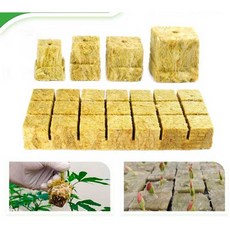 그로우폼 원예용오아시스삽목 헬프팜 새싹 삽목용, 25x25x40(50블록), 1개