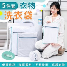 太力蜂巢洗衣袋5入套組 洗衣機護洗袋 收納洗衣網 衣物分裝分隔袋【台灣現貨】, 1個, 白