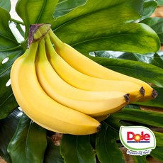 Dole 바나나 당도보장 안전 에어캡포장 [SHN], 1개, 바나나 2송이 2~2.4kg