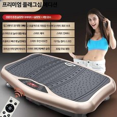 음파진동기 홈트 유산소 다이어트 가정용 덜덜이 운동기구, 옵션참조, B