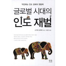 글로벌 시대의 인도 재벌:약진하는 인도 경제의 원동력, 한울아카데미, 스가이 신이치 저/이용빈 역
