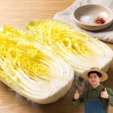 천산지유 전라도 국산 알배기 쌈배추, 1개, 2kg