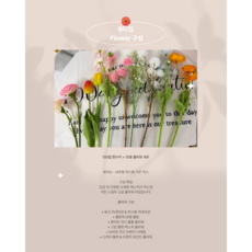 100일현수막+ 생화감성 조화 2type 100일촬영 백일상소품 셀프백일촬영소품, 1세트, B타입