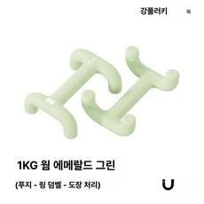 픽앤고 팔뚝살빼는운동기구 팔뚝살제거 아령 아령덤벨 덤벨세트, 웜에메랄드그린 1kgx2, 1개, 1g