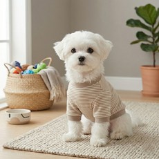 스트라이프맨투맨티셔츠 국내 자체제작! (공장직영)강아지 고양이 옷 티셔츠 실내복 올인원 반려견 중형견 대형견, 브라운, 1개
