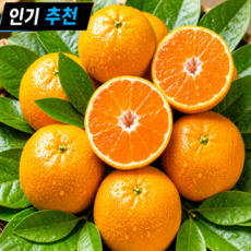 [제주직송] 재구매1위 시농원 고당도 제주감귤, 1박스, 2kg