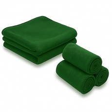 하이크린 고급 양면 극세사 청소용 걸레 40x40cm 손걸레, 그린, 5개