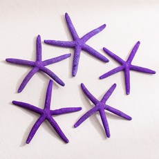 [데코봉봉] 퍼플 불가사리 5개 9cm 바다 오브제 여름소품