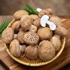 [하루32박스출고] 명품1%산지 가정용 정품 송화버섯, 1개, 2kg (중, 가정용)