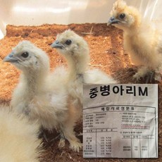 중병아리사료, 1개, 10kg