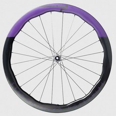 PRINCETON PEAK 4550 Evolution 碟煞輪組 - 吉興單車, 1個, XDR,亮光金標