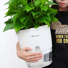 莫里安圓底灌溉花盆, 白色, 1個