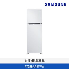삼성 냉장고 255L RT25BAR41WW