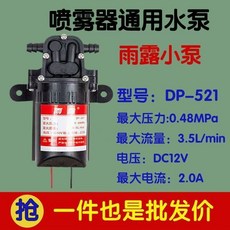 虎躍 12V 噴霧器專用 隔膜水泵 耐腐蝕 流量大 全銅電機, 1個, 內回流經典小泵