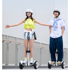 샤오미 나인봇 미니 스쿠터 Ninebot Mini 전동휠 체감형 L6 L8, 23.10km L6 화이트 손잡이
