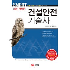 스마트건설안전기술사:, 성안당