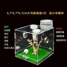 투명 파충류 사육장 거미 사마귀 아크릴 애완 곤충 번식 생태 상자 관찰, 6.8cm 조경 상자 + 램프 (양 장식)