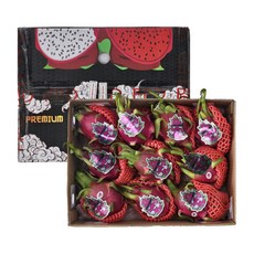 GOODLIFE 베트남 용과 9~10입, 기타/기타, 1개, 5kg