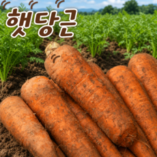국내산 햇 흙당근 특품 당근, 1박스, 2kg 중