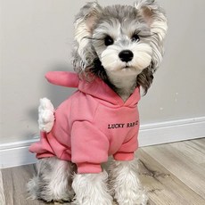 i豆寵物生活館 狗狗衣服秋冬款寵物加絨衛衣連帽牛角加厚保暖比熊雪納瑞貓咪衣服, 1個, 粉色加絨連帽牛角（不含別針配飾）,2XL碼（約10.5-13.0公斤）