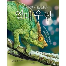 실제 크기로 보는 열대 우림 사진보다 생생한 그림으로 만나는 열대 우림에 사는 동물들, 상품명